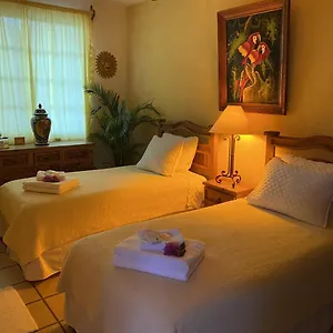 https://the-mexican-inn.cabosanlucashotelsmexico.com